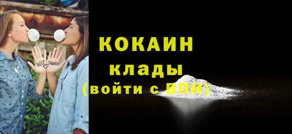 ГАЛЛЮЦИНОГЕННЫЕ ГРИБЫ Карталы