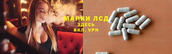 ГАЛЛЮЦИНОГЕННЫЕ ГРИБЫ Карталы